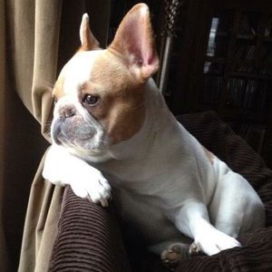 Meet your Posher, Christine